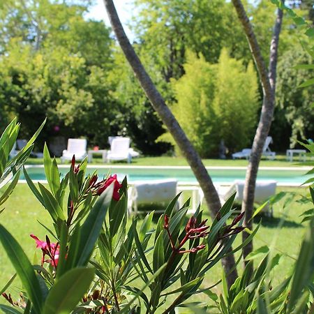 L'Islo Bamboo Apartment Saumane-de-Vaucluse Екстериор снимка